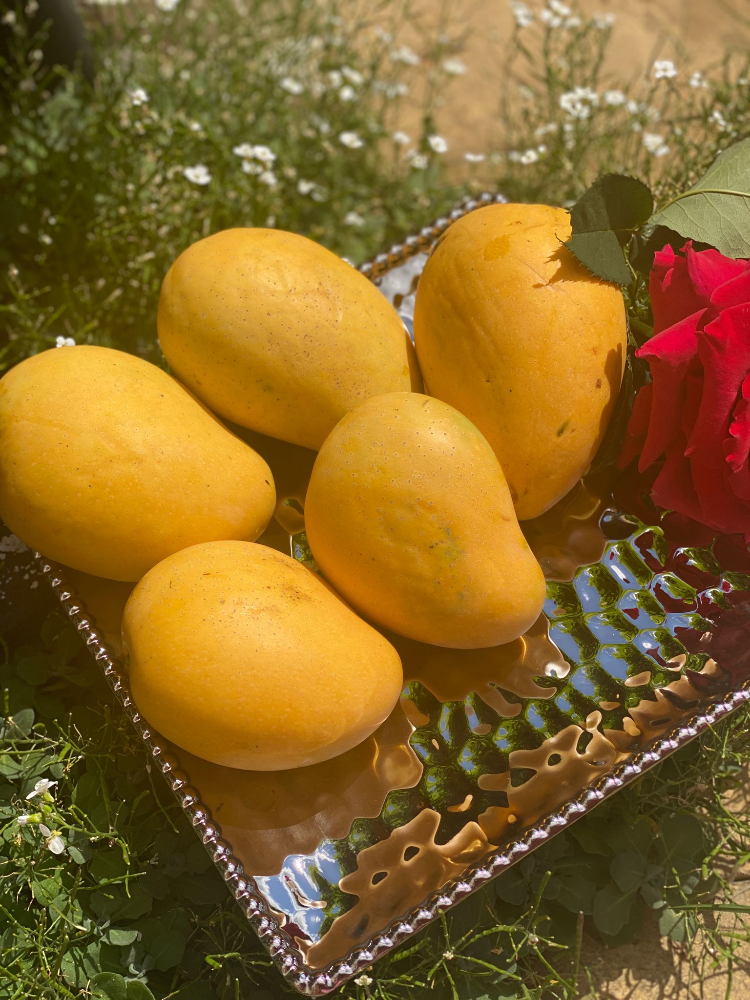 Banginapally Mangoes